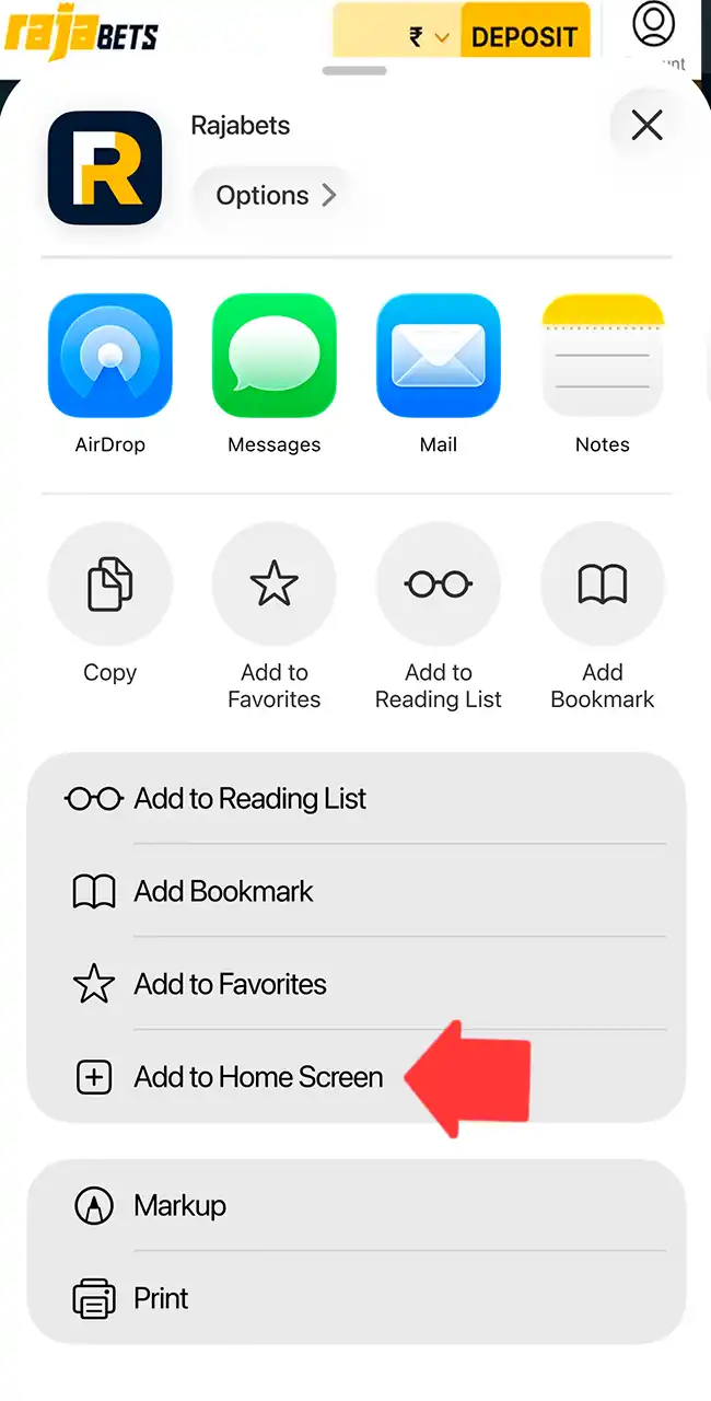 Add Rajabets to your home screen.